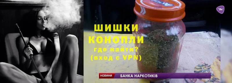 Шишки марихуана THC 21%  купить   Черкесск 